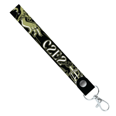 C2E2 2025 Merch