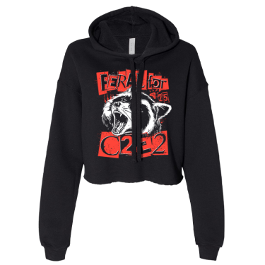 C2E2 2025 Merch